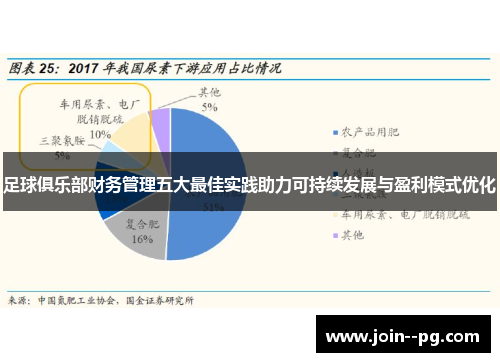 足球俱乐部财务管理五大最佳实践助力可持续发展与盈利模式优化