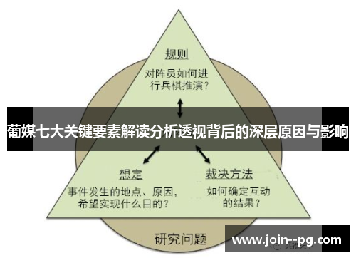 葡媒七大关键要素解读分析透视背后的深层原因与影响