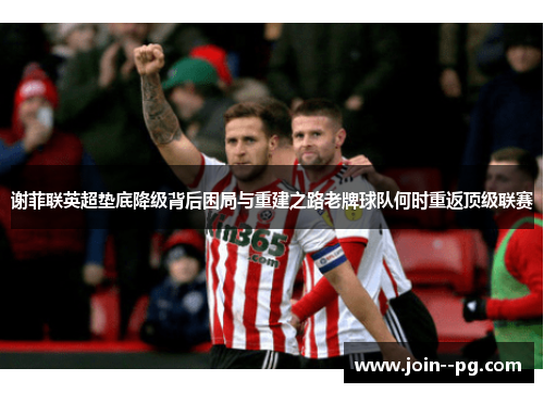 谢菲联英超垫底降级背后困局与重建之路老牌球队何时重返顶级联赛 谢菲联英超垫底降级背后困局与重建之路老牌球队何时重返顶级联赛